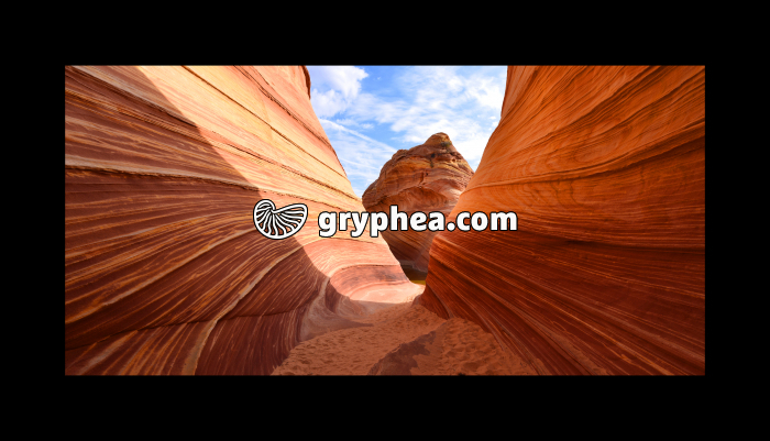The Wave - Formations gréseuses (Utah, USA) - gryphea.org